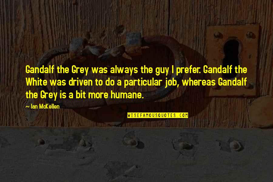 Merdivenler Quotes By Ian McKellen: Gandalf the Grey was always the guy I