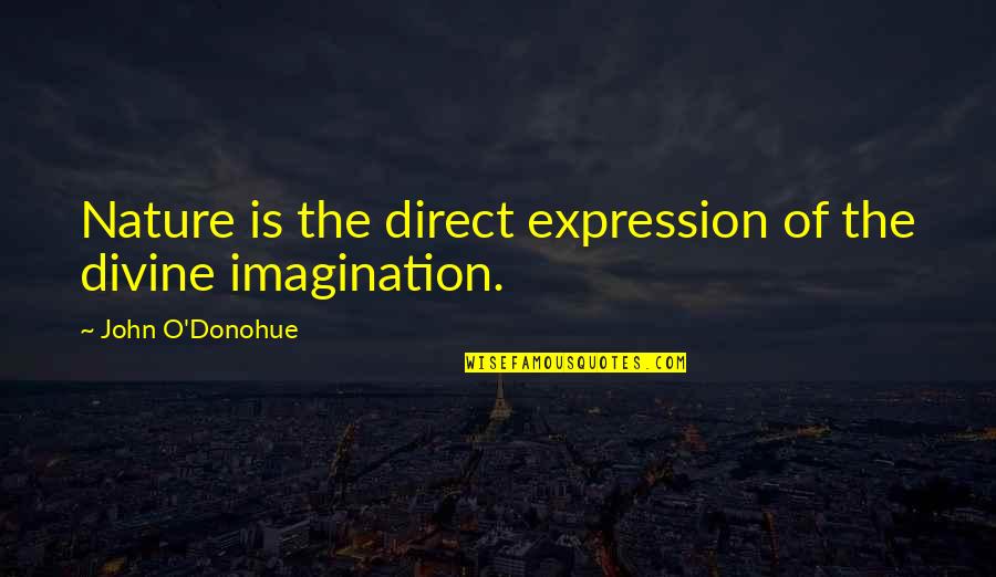 Mere Male Quotes By John O'Donohue: Nature is the direct expression of the divine