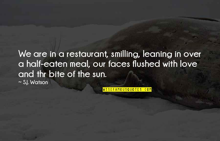 Meredith Grey Monologues Quotes By S.J. Watson: We are in a restaurant, smilling, leaning in