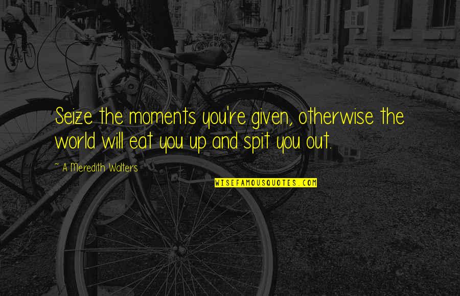 Meredith Quotes By A Meredith Walters: Seize the moments you're given, otherwise the world