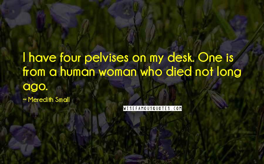 Meredith Small quotes: I have four pelvises on my desk. One is from a human woman who died not long ago.