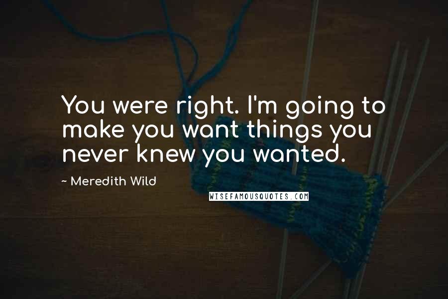 Meredith Wild quotes: You were right. I'm going to make you want things you never knew you wanted.