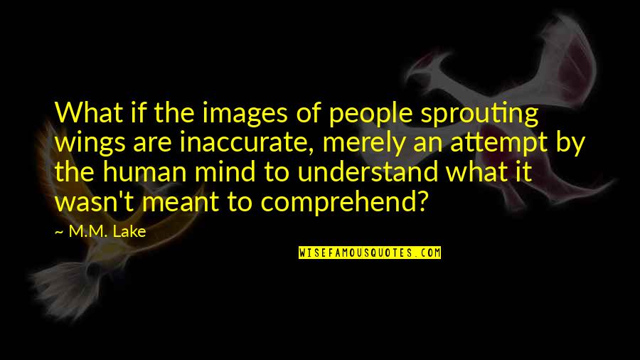 Merely Quotes By M.M. Lake: What if the images of people sprouting wings Merely Quotes By M.M. Lake: What if the images of people sprouting wings