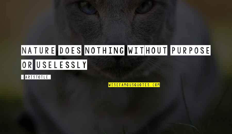 Meretriz Quotes By Aristotle.: Nature does nothing without purpose or uselessly Meretriz Quotes By Aristotle.: Nature does nothing without purpose or uselessly