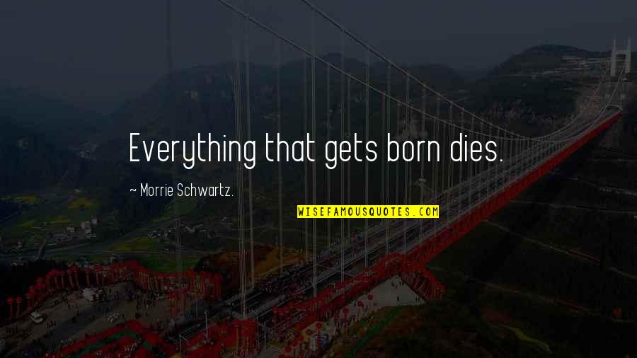 Mereu La Quotes By Morrie Schwartz.: Everything that gets born dies. Mereu La Quotes By Morrie Schwartz.: Everything that gets born dies.