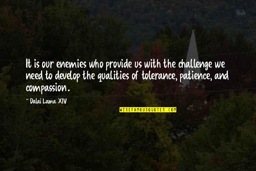 Mergana Quotes By Dalai Lama XIV: It is our enemies who provide us with Mergana Quotes By Dalai Lama XIV: It is our enemies who provide us with