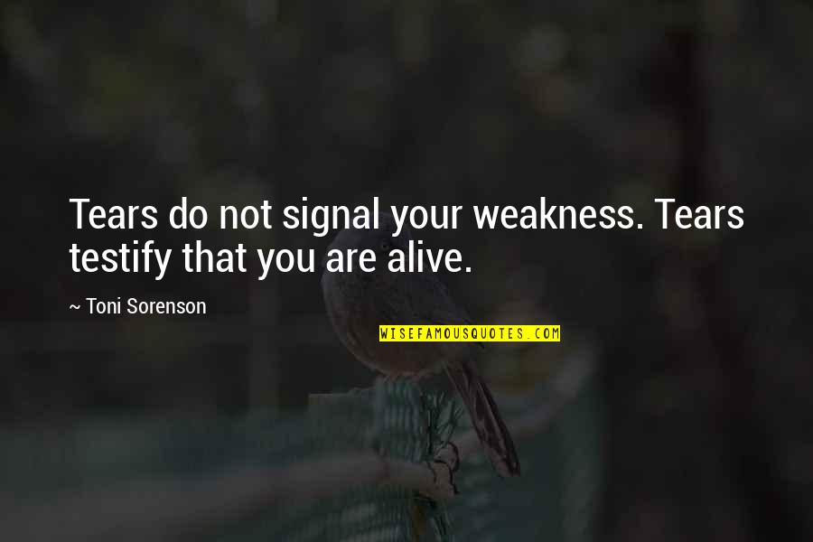 Merhari Quotes By Toni Sorenson: Tears do not signal your weakness. Tears testify