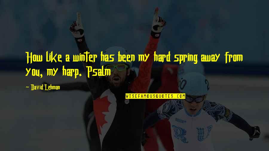 Meri Yaad Aayegi Quotes By David Lehman: How like a winter has been my hard