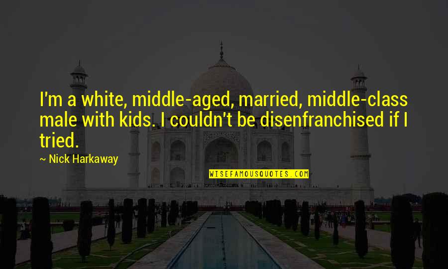 Merienda Quotes By Nick Harkaway: I'm a white, middle-aged, married, middle-class male with