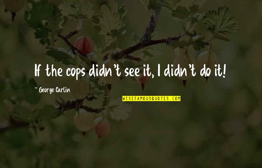 Merii Montt Quotes By George Carlin: If the cops didn't see it, I didn't