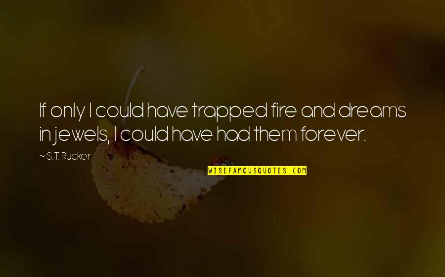 Meritocracia Contraspot Quotes By S.T. Rucker: If only I could have trapped fire and Meritocracia Contraspot Quotes By S.T. Rucker: If only I could have trapped fire and