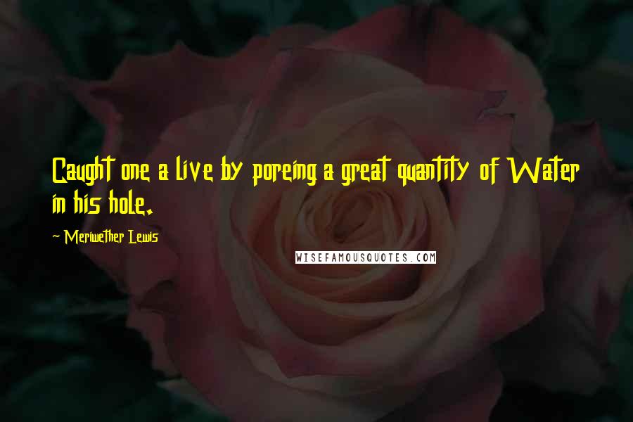 Meriwether Lewis quotes: Caught one a live by poreing a great quantity of Water in his hole.