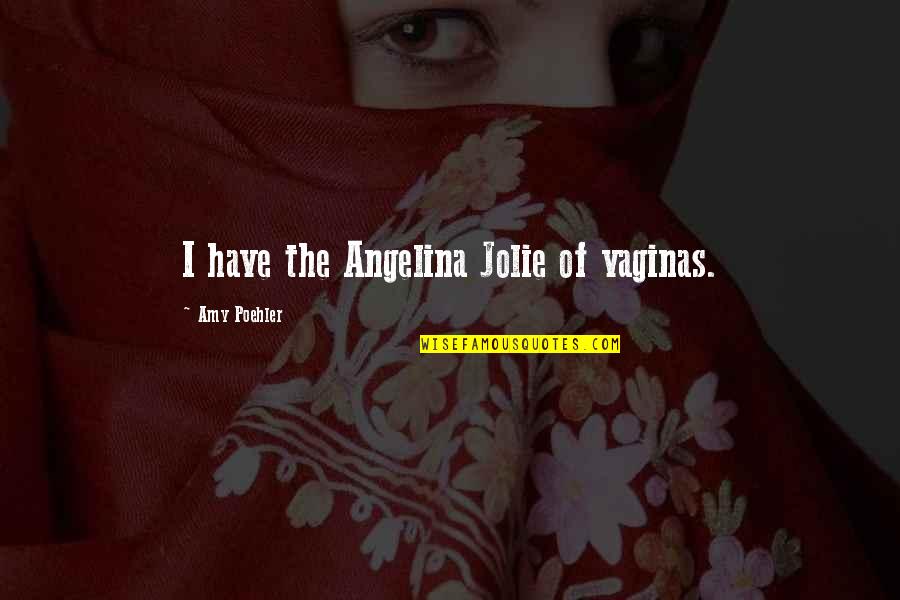 Merjack Quotes By Amy Poehler: I have the Angelina Jolie of vaginas.