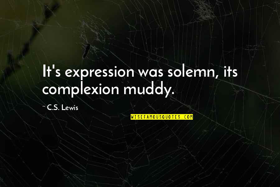 Merken Recipes Quotes By C.S. Lewis: It's expression was solemn, its complexion muddy.