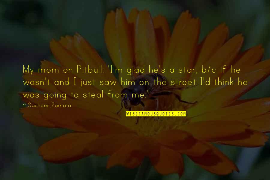 Merkkinauha Quotes By Sasheer Zamata: My mom on Pitbull: 'I'm glad he's a