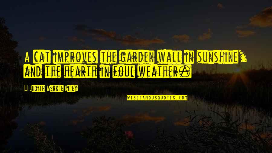 Merkle Quotes By Judith Merkle Riley: A cat improves the garden wall in sunshine, Merkle Quotes By Judith Merkle Riley: A cat improves the garden wall in sunshine,