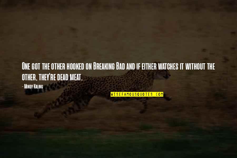 Merlano Complices Quotes By Mindy Kaling: One got the other hooked on Breaking Bad