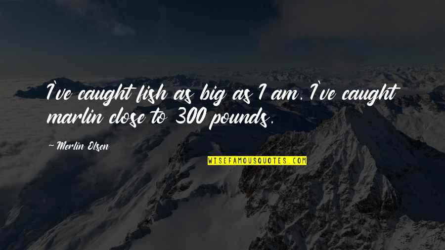 Merlin S Quotes By Merlin Olsen: I've caught fish as big as I am.