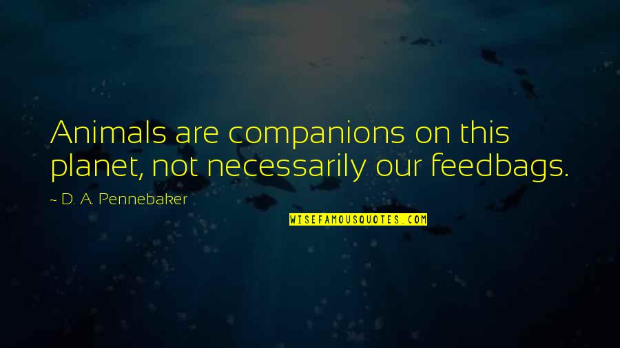 Merlins Magic Sleepsuit Quotes By D. A. Pennebaker: Animals are companions on this planet, not necessarily Merlins Magic Sleepsuit Quotes By D. A. Pennebaker: Animals are companions on this planet, not necessarily
