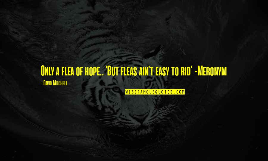 Meronym Quotes By David Mitchell: Only a flea of hope.. 'But fleas ain't
