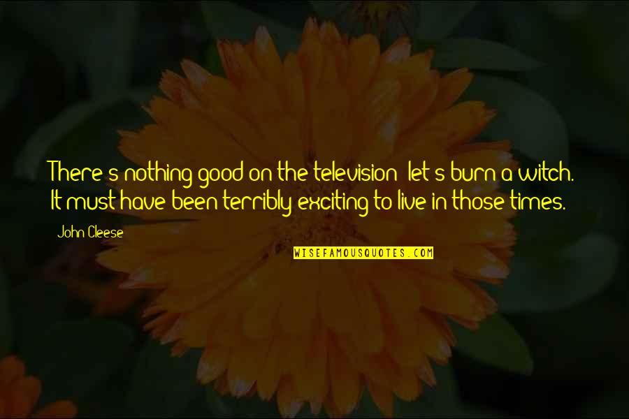 Merrier Quotes By John Cleese: There's nothing good on the television; let's burn