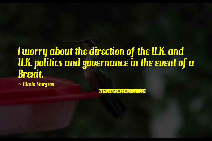 Merrilyn Gann Quotes By Nicola Sturgeon: I worry about the direction of the U.K.