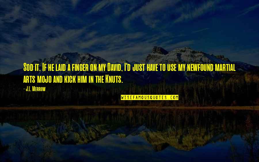 Merrow Quotes By J.L. Merrow: Sod it. If he laid a finger on Merrow Quotes By J.L. Merrow: Sod it. If he laid a finger on