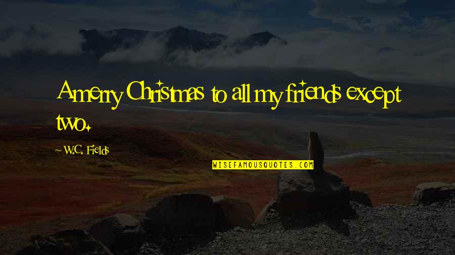 Merry Christmas To All Quotes By W.C. Fields: A merry Christmas to all my friends except