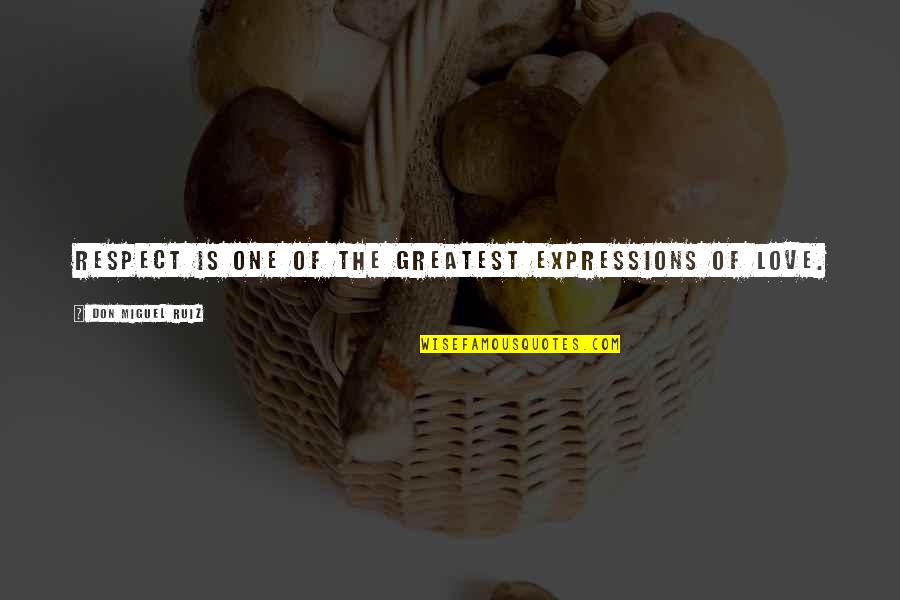 Merrymakers Band Quotes By Don Miguel Ruiz: Respect is one of the greatest expressions of Merrymakers Band Quotes By Don Miguel Ruiz: Respect is one of the greatest expressions of