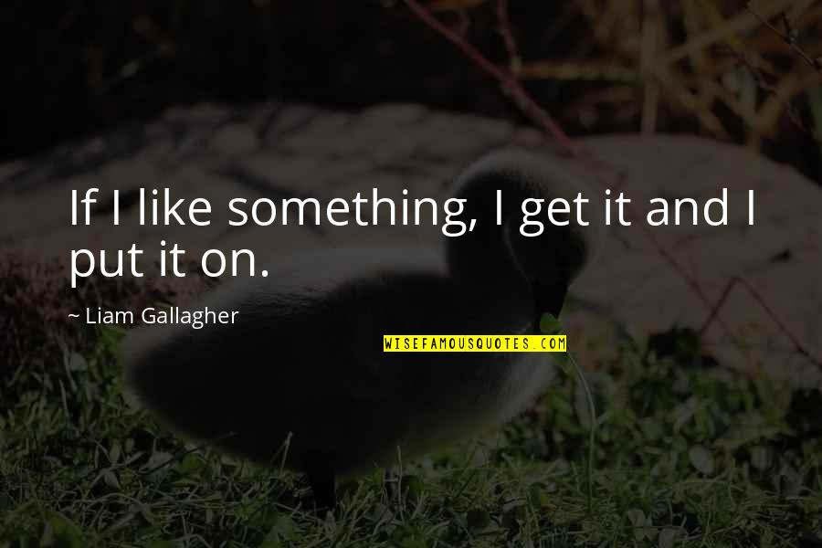 Merryweather Quotes By Liam Gallagher: If I like something, I get it and