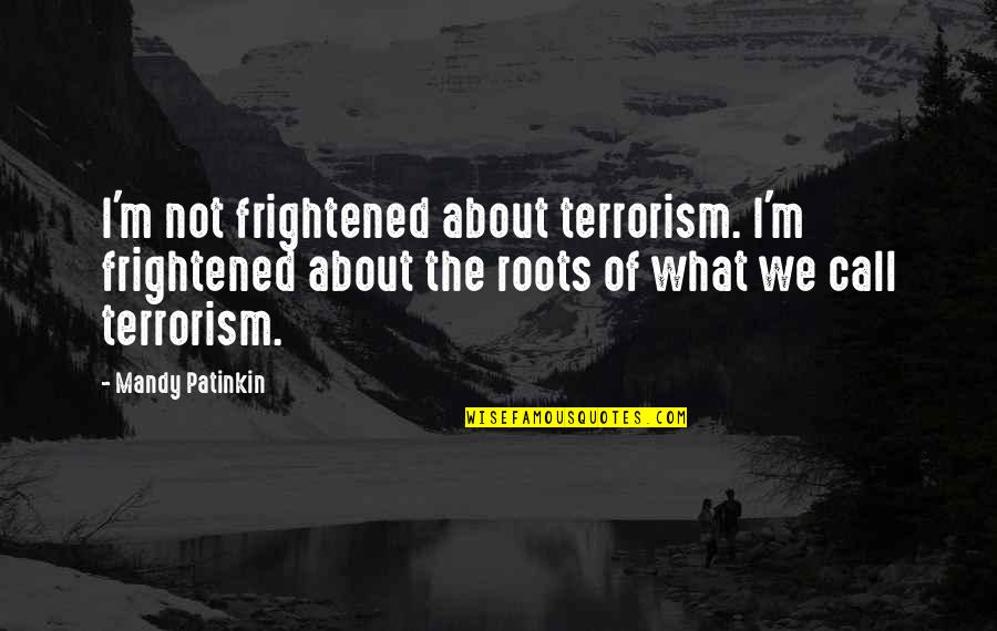 Mersini Ship Quotes By Mandy Patinkin: I'm not frightened about terrorism. I'm frightened about Mersini Ship Quotes By Mandy Patinkin: I'm not frightened about terrorism. I'm frightened about