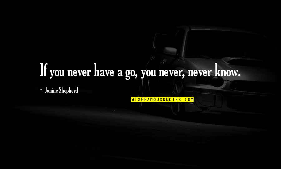Mertillo Quotes By Janine Shepherd: If you never have a go, you never,