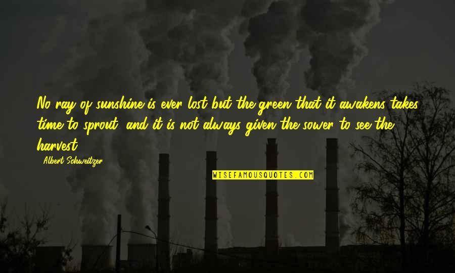 Mertsi Nyman Quotes By Albert Schweitzer: No ray of sunshine is ever lost but Mertsi Nyman Quotes By Albert Schweitzer: No ray of sunshine is ever lost but