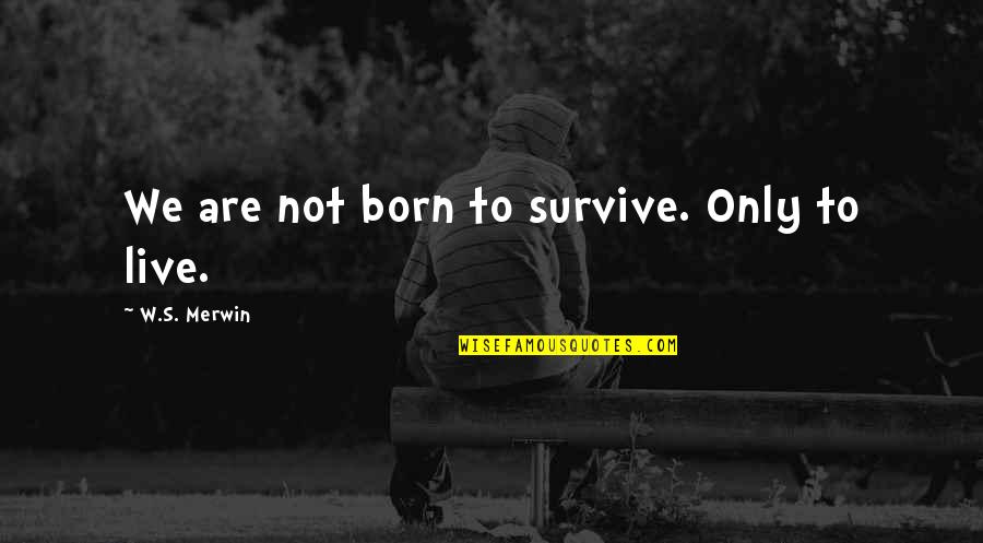 Merwin Quotes By W.S. Merwin: We are not born to survive. Only to Merwin Quotes By W.S. Merwin: We are not born to survive. Only to