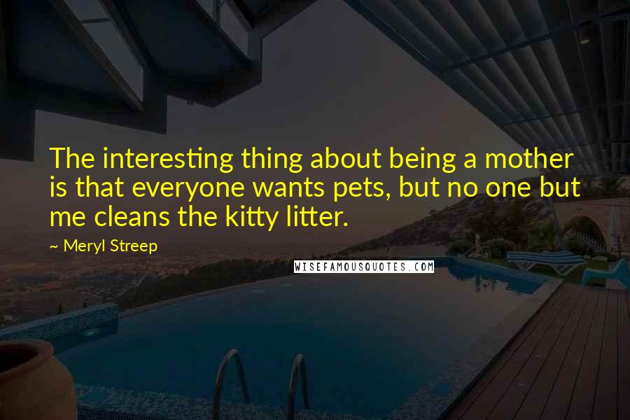 Meryl Streep quotes: The interesting thing about being a mother is that everyone wants pets, but no one but me cleans the kitty litter.