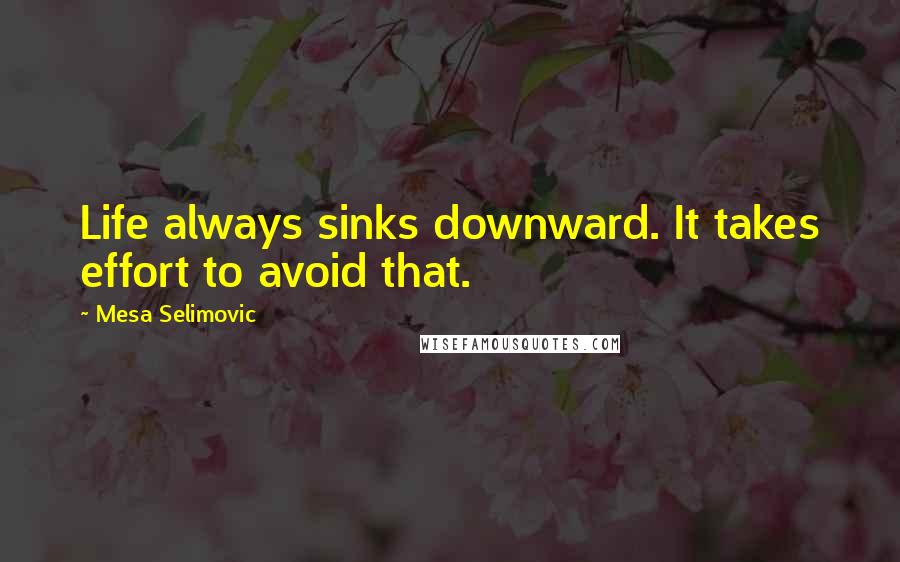 Mesa Selimovic quotes: Life always sinks downward. It takes effort to avoid that.