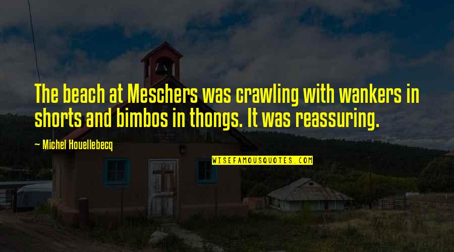 Meschers Quotes By Michel Houellebecq: The beach at Meschers was crawling with wankers