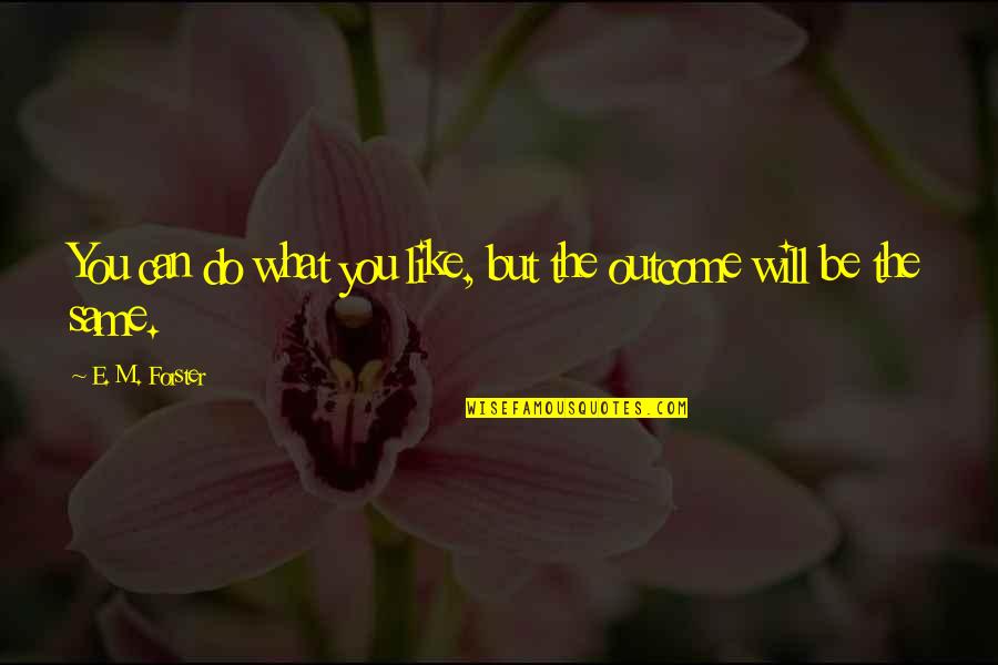 Meschke Greenhouse Quotes By E. M. Forster: You can do what you like, but the Meschke Greenhouse Quotes By E. M. Forster: You can do what you like, but the