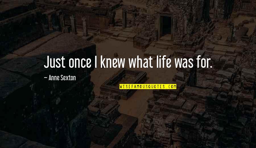 Mesdames Pronunciation Quotes By Anne Sexton: Just once I knew what life was for. Mesdames Pronunciation Quotes By Anne Sexton: Just once I knew what life was for.