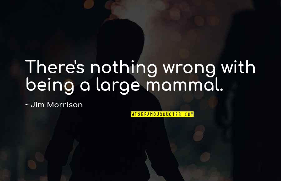 Mesecarke Quotes By Jim Morrison: There's nothing wrong with being a large mammal.