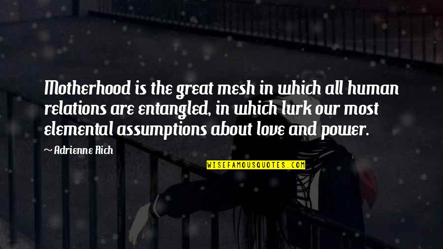 Mesh Quotes By Adrienne Rich: Motherhood is the great mesh in which all