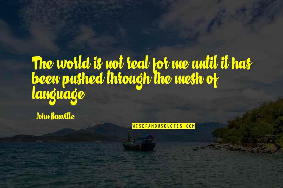 Mesh Quotes By John Banville: The world is not real for me until
