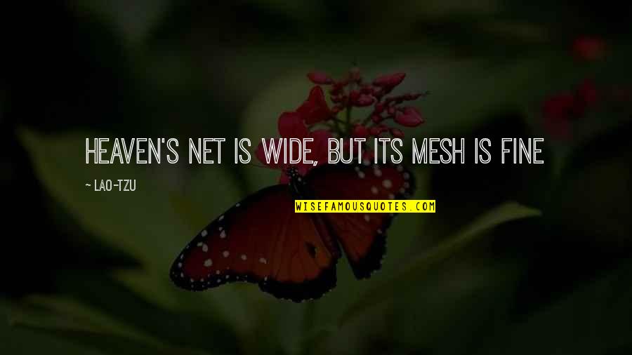 Mesh Quotes By Lao-Tzu: Heaven's net is wide, but its mesh is
