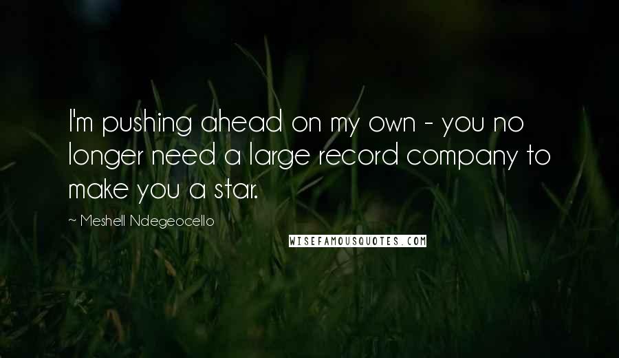 Meshell Ndegeocello quotes: I'm pushing ahead on my own - you no longer need a large record company to make you a star.