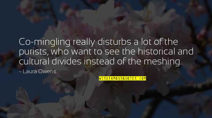 Meshing Quotes By Laura Owens: Co-mingling really disturbs a lot of the purists,