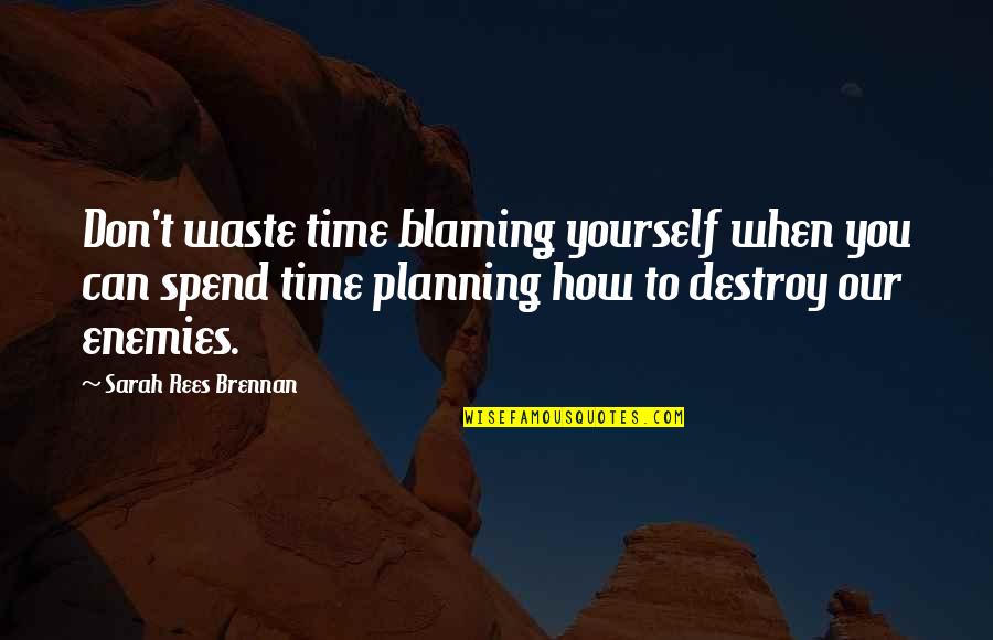 Mesker Quotes By Sarah Rees Brennan: Don't waste time blaming yourself when you can