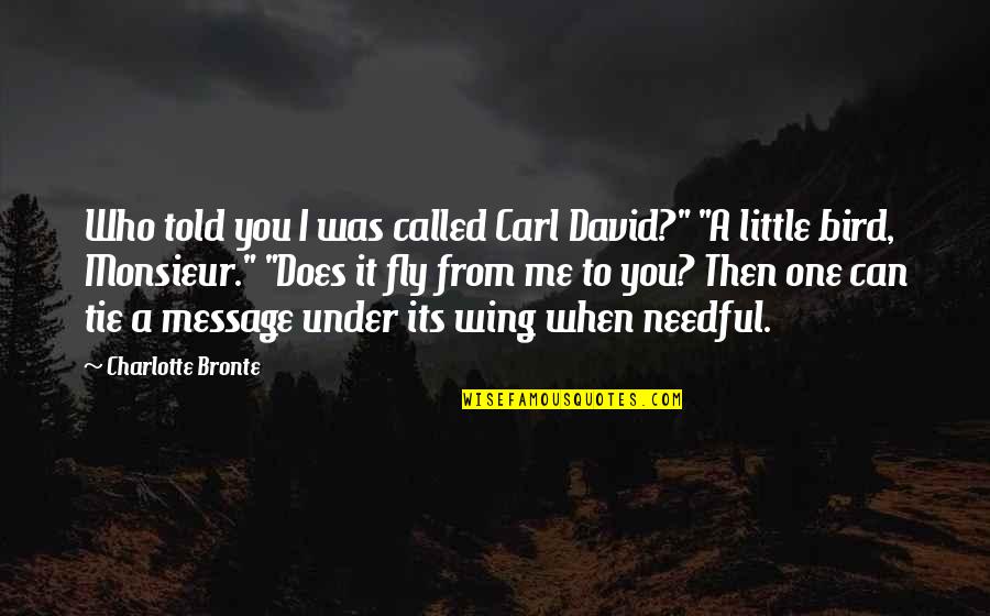 Message From You Quotes By Charlotte Bronte: Who told you I was called Carl David?"