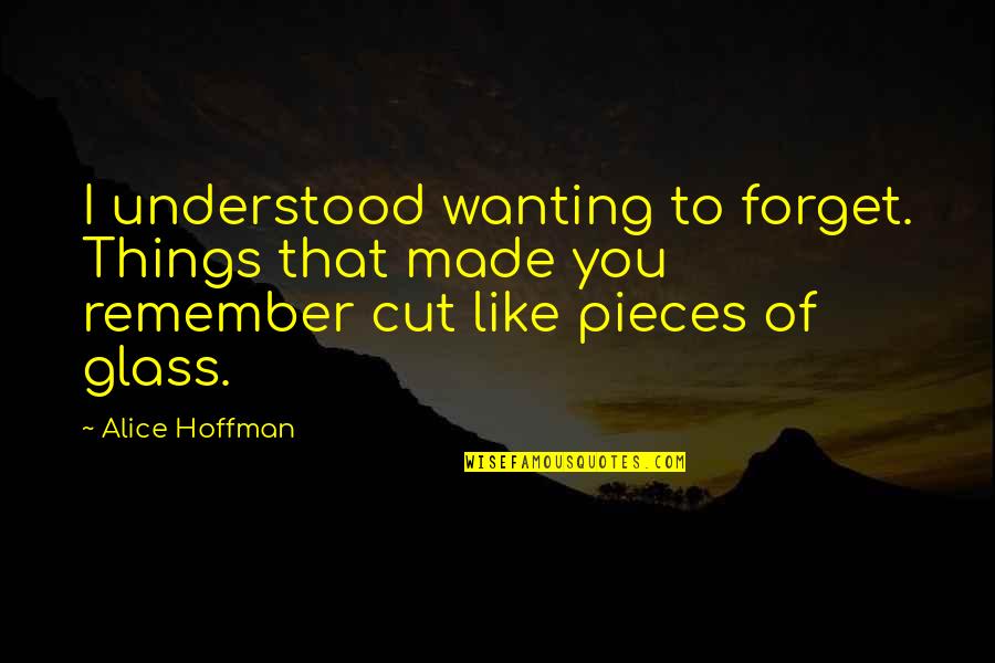 Messages In Music Quotes By Alice Hoffman: I understood wanting to forget. Things that made