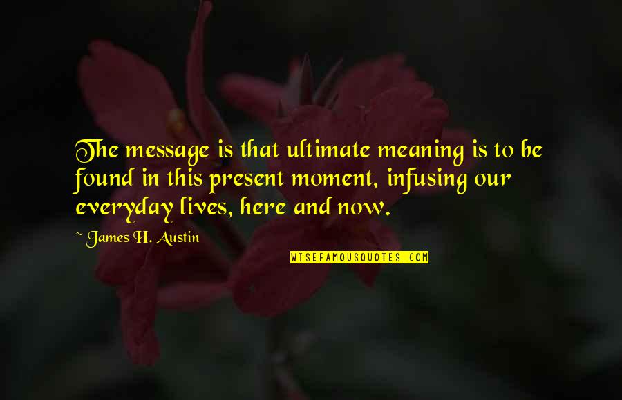 Messages Quotes By James H. Austin: The message is that ultimate meaning is to