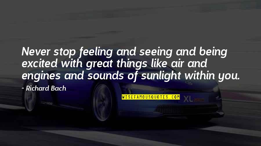 Messalina Messalina Quotes By Richard Bach: Never stop feeling and seeing and being excited Messalina Messalina Quotes By Richard Bach: Never stop feeling and seeing and being excited